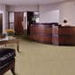 Shaw Modern Traditions Carpet in Camel, , large