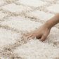 Safavieh Dallas Shag SGD258B-10 10" x 14" Ivory/Beige Area Rug, , large