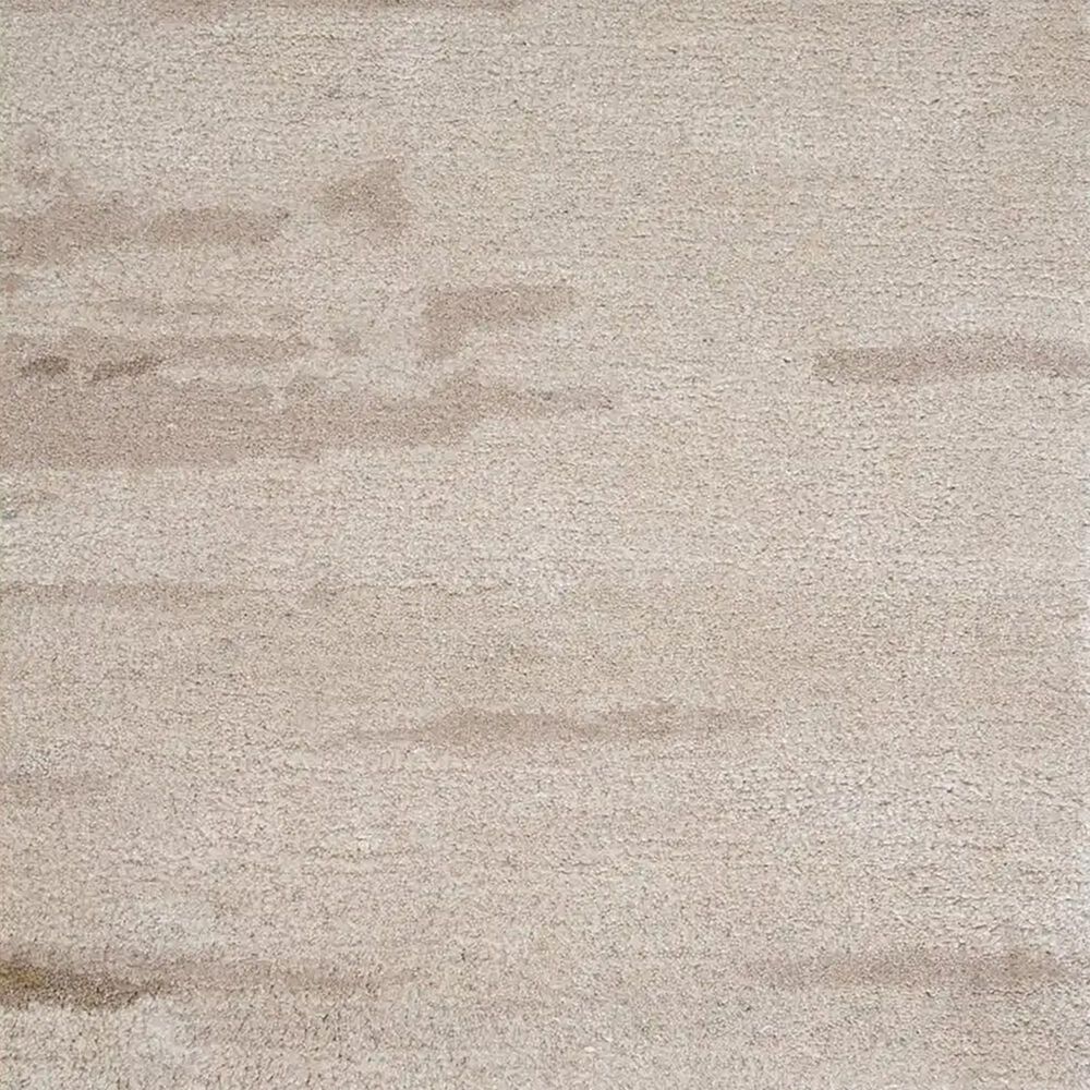 Jaipur Genesis Ryenn 9&#39; x 13&#39; Tan Area Rug, , large