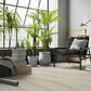 Emser Prodigy Cruz 12" x 24" Polished Porcelain Tile, , large