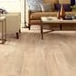 Shaw Vinyl Tile Prodigy HDR Plus Nomad 7" x 48" Luxury Vinyl Plank, , large