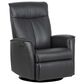 H2 Sirius GX333 Power Recliner in Grace Onyx, , large