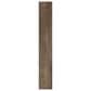 Paramount Bliss 5.0 Burntside 9" x 60" Luxury Vinyl Plank, , large