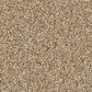 Anderson Tuftex Cypress Falls Carpet in Amber, , large