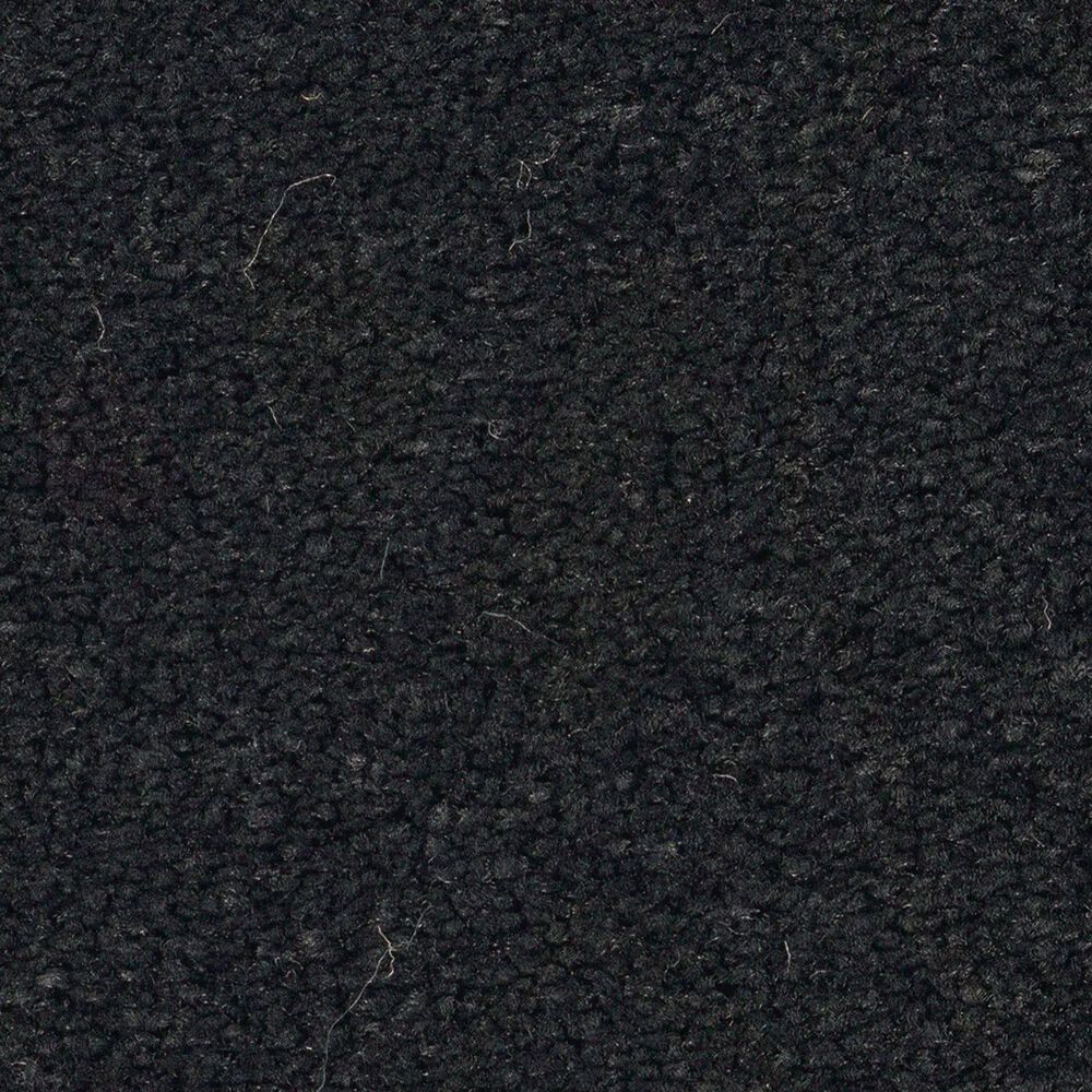 Anderson Tuftex Finery Carpet in Onyx, , large