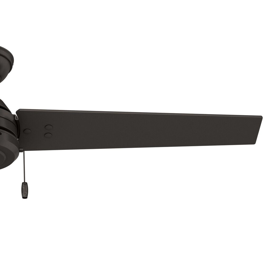 Hunter Cassisus 52&quot; Outdoor Ceiling Fan in Premier Bronze, , large