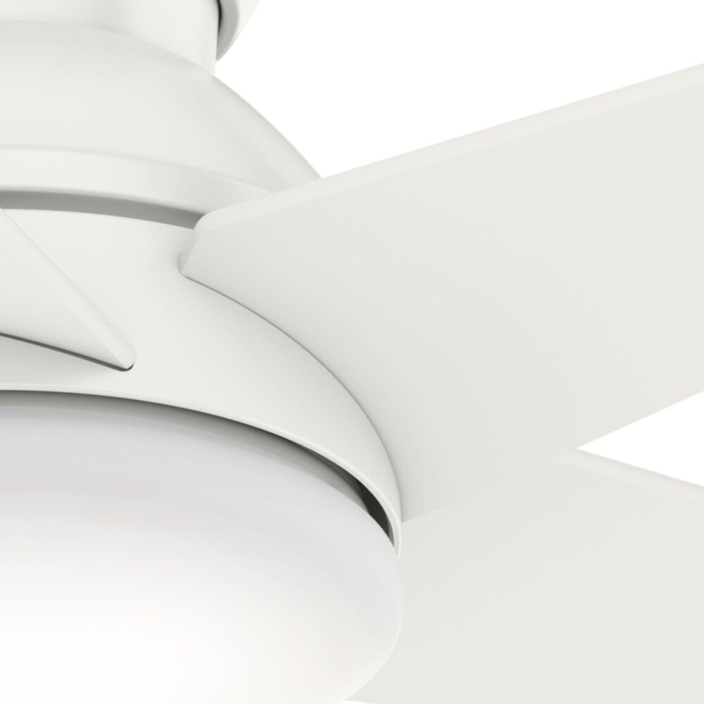 Hunter Isotope 44&quot; Ceiling Fan with LED Light in Fresh White, , large