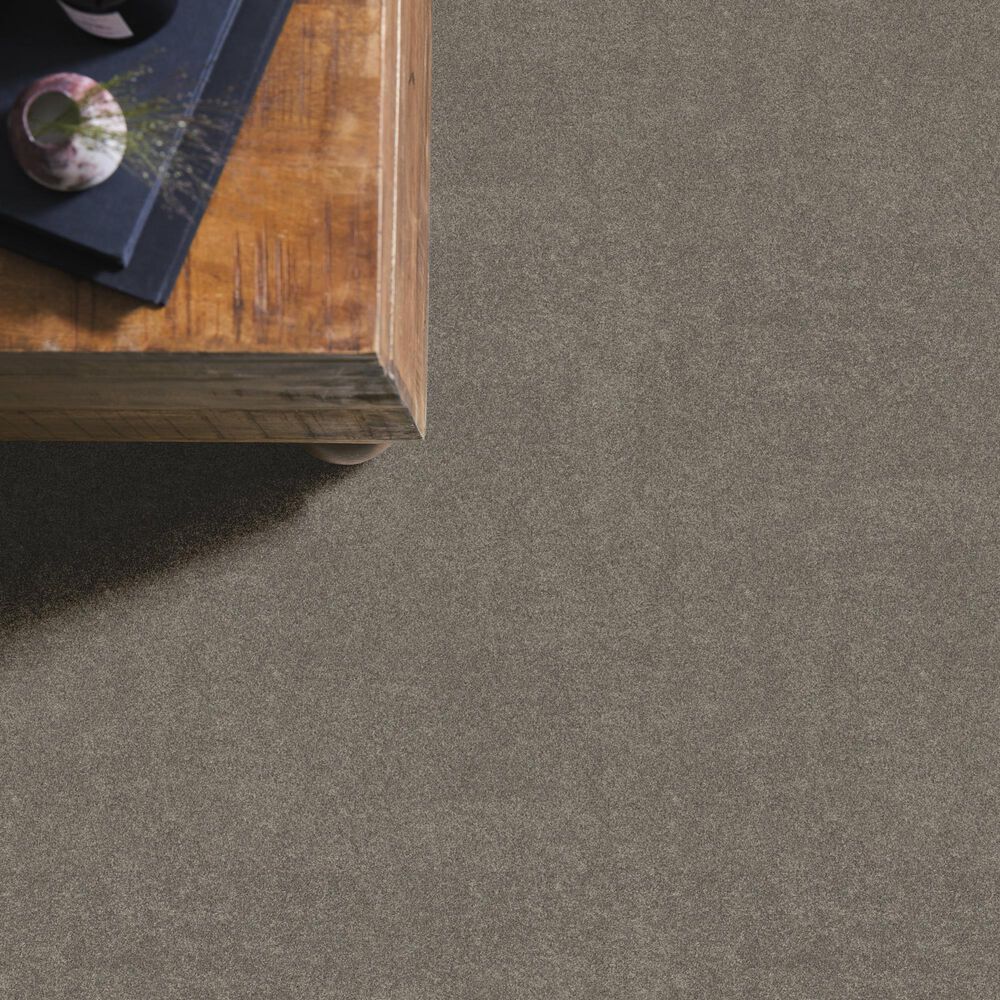 Philadelphia Delicate Feel I Carpet in Hideaway, , large