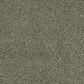 Dream Weaver Brazen II Carpet in Olivewood, , large