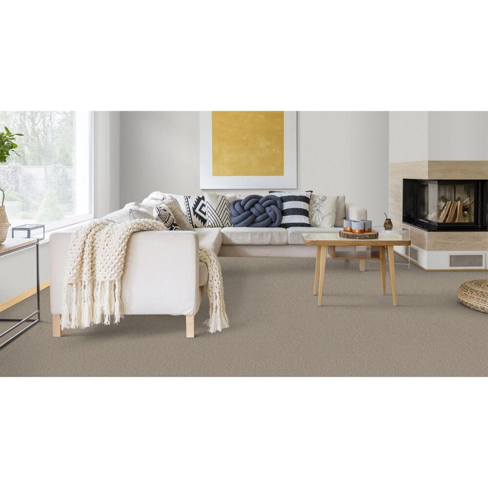 Dixie Home Winding Creek Premier Carpet in Overcast, , large