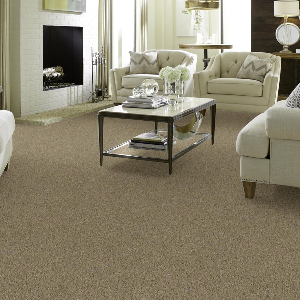 Shaw Detailed Elegance II Carpet in Clay Stone, , large