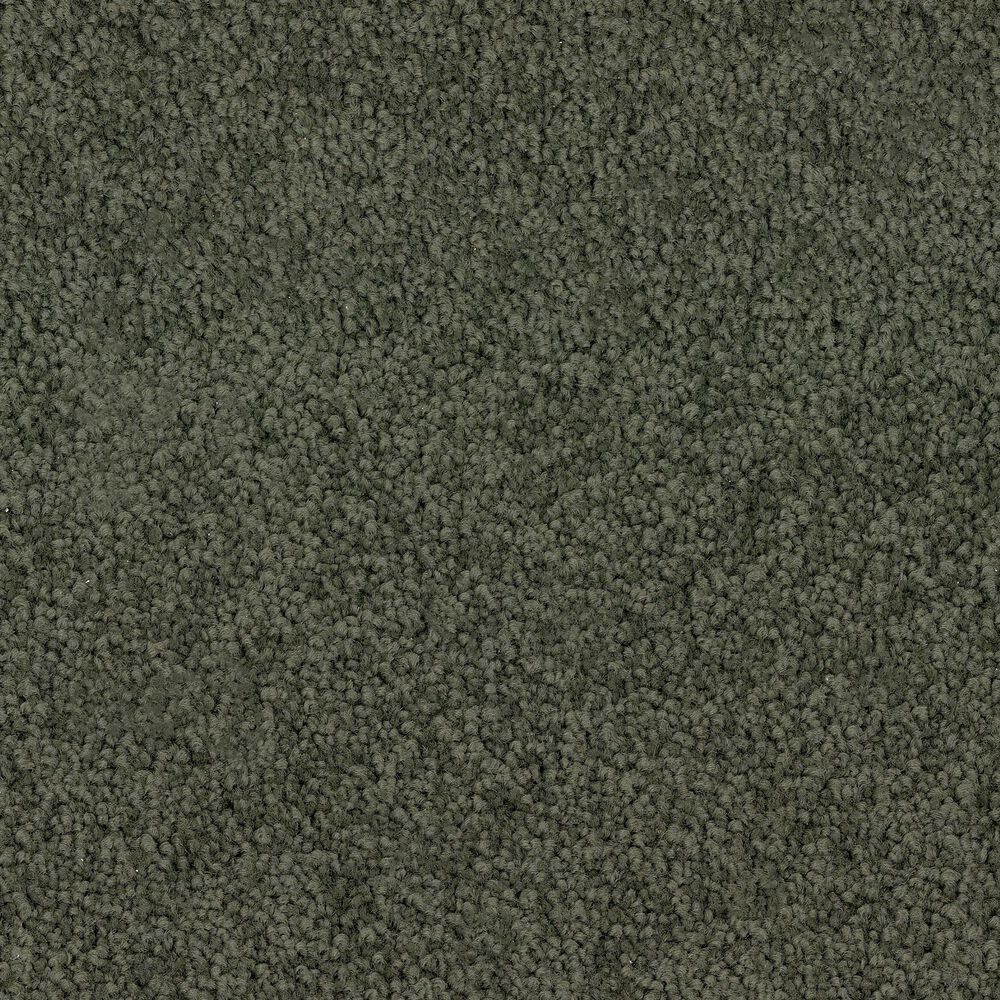 Dixie Home Big Splash Carpet in Cypress, , large