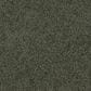 Dixie Home Big Splash Carpet in Cypress, , large