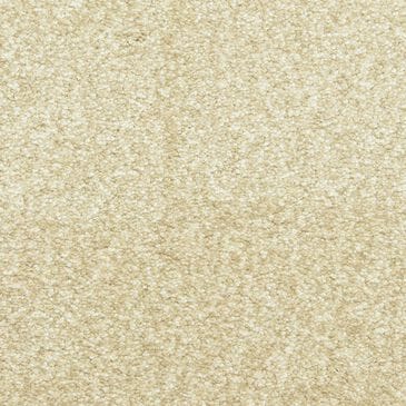 Dixie Home Simplicity Carpet in Portico, , large