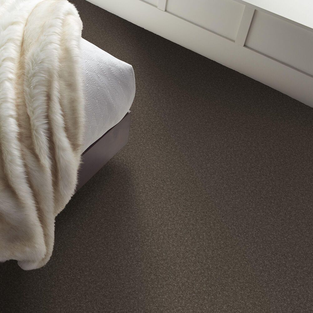 Shaw Hard At Play Iii Carpet in Urban Rustic, , large