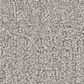 Shaw Vintage Flair Carpet In Chromatic, , large