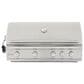 Blaze 44" Professional Natural Gas Grill with 4-Burner in Stainless Steel, , large