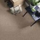 Philadelphia Mixed Essentials Carpet in Sunkissed, , large