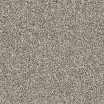 Dixie Home Guard Carpet in Chow Chow, , large