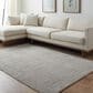 Surya Masterpiece Light Gray and Medium Gray 5" x 7"5" Area Rug, , large