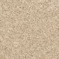 Mohawk Claws and Effect II Carpet in Sandy Beach, , large