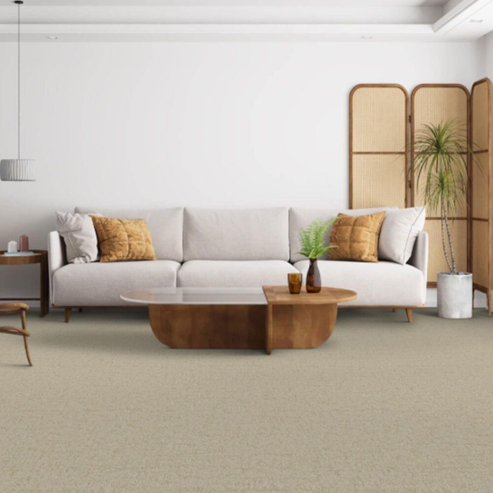 Dixie Home Genuine Carpet in Worthy, , large