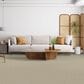 Dixie Home Genuine Carpet in Worthy, , large