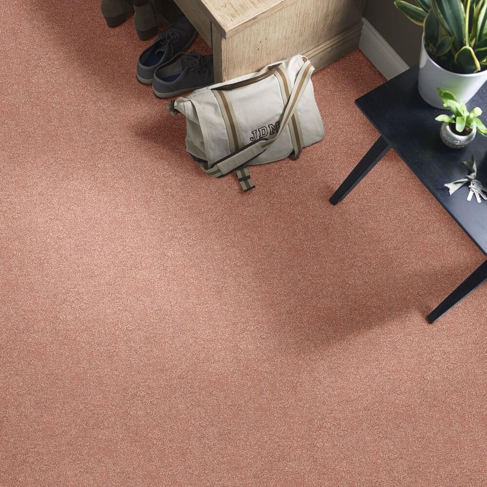 Shaw Find Your Comfort NS II Carpet in Open The Rose, , large