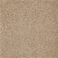 Mohawk Pleasant Touch Carpet in Belvedere, , large