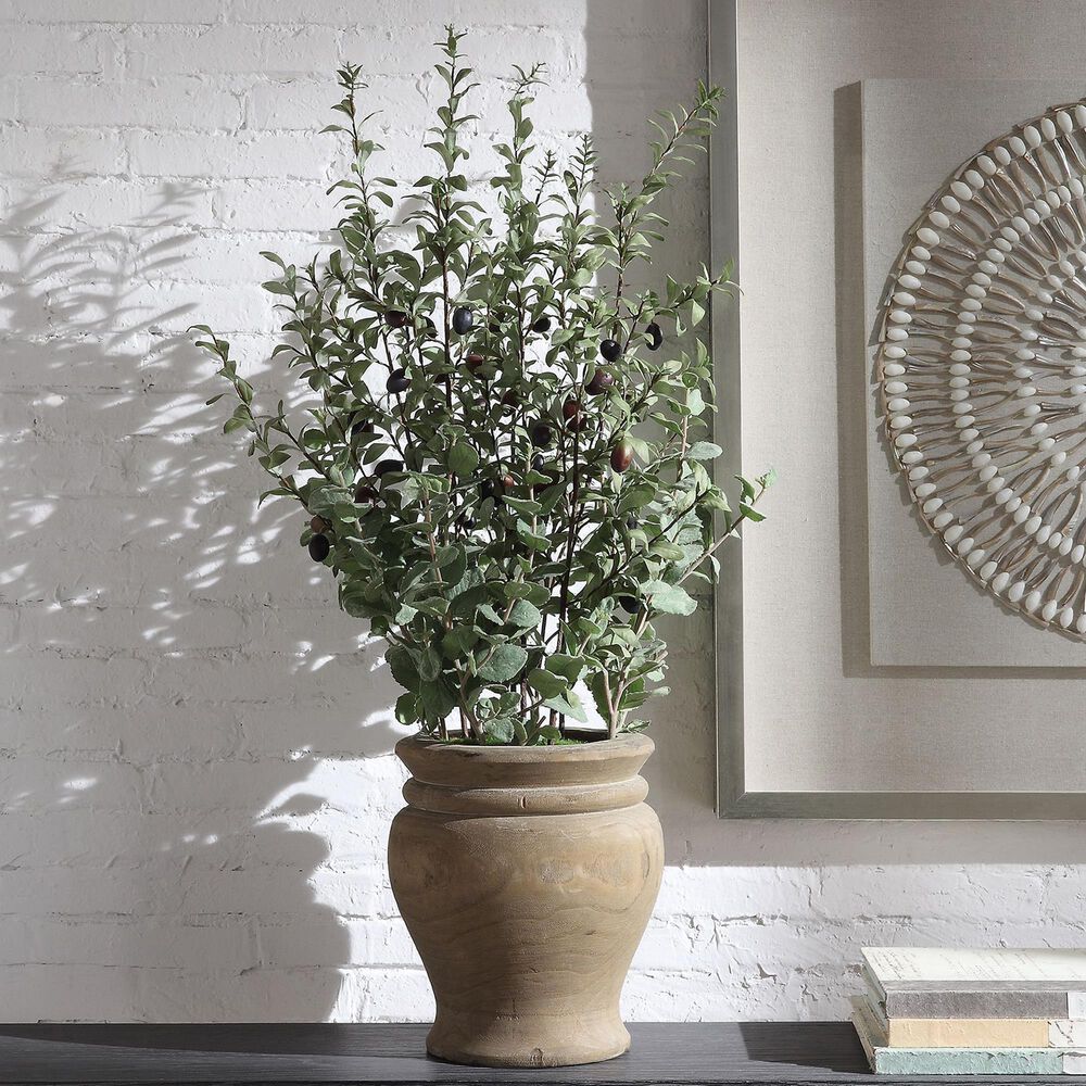 Uttermost Tassos Potted Olive, , large