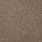 Mohawk Windsor Gardens I Carpet in Cat-Tail, , large