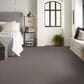 Shaw Austin Park Carpet in Rustic Vibe, , large