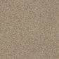 Shaw Acadia Park Carpet in Canoe, , large