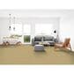 Dixie Home Simplicity Carpet in Cameo, , large