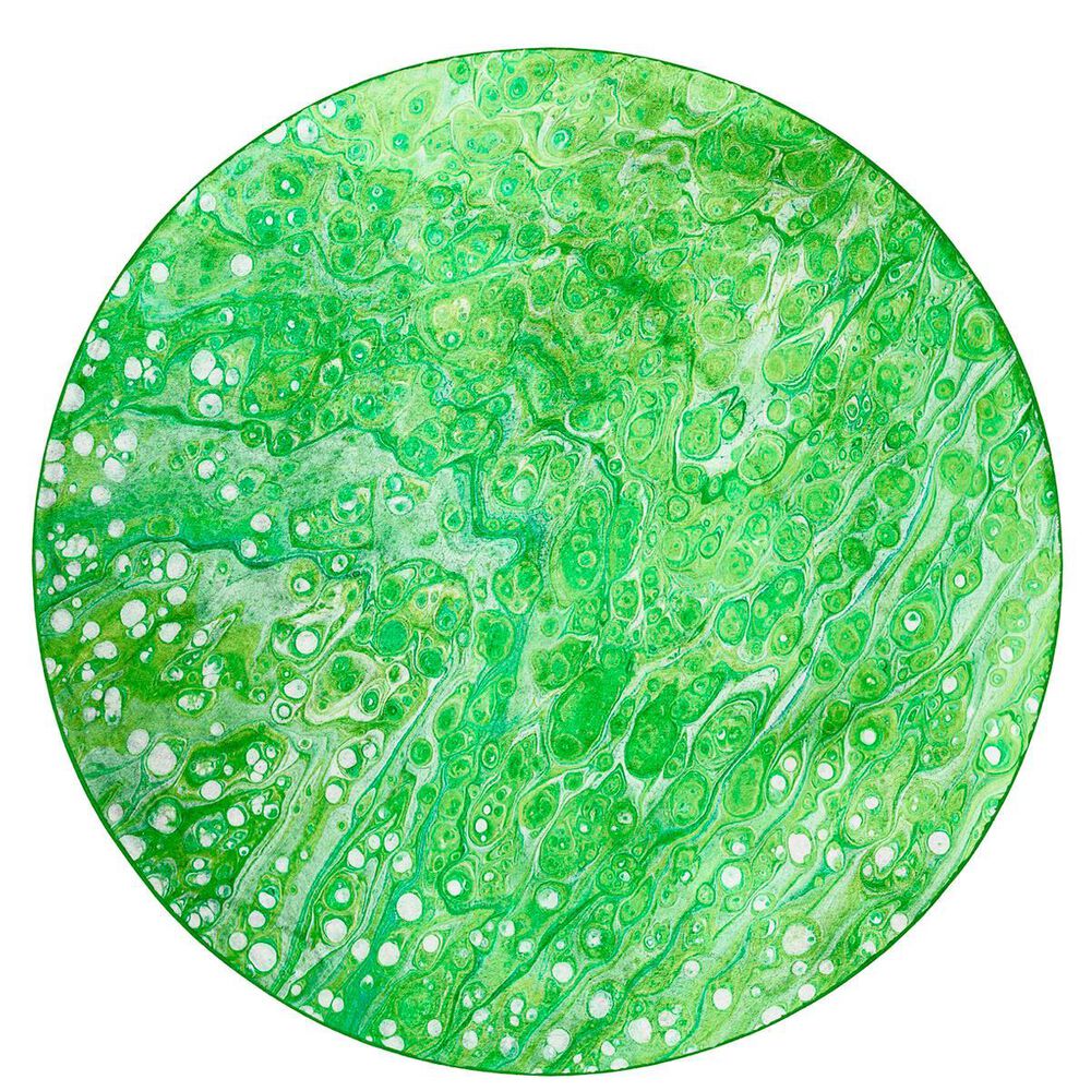 Dalyn Rug Company Kikiamo Lime-In 8" Round Area Rug, , large