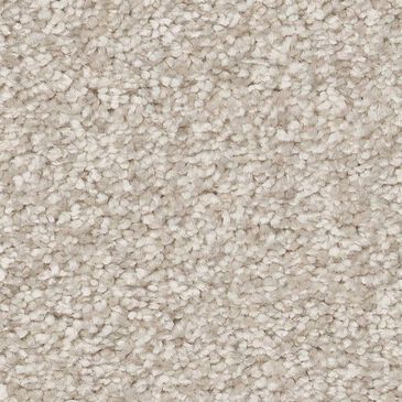 Shaw You Got This III Carpet in Warm Light, , large