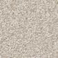 Shaw You Got This III Carpet in Warm Light, , large