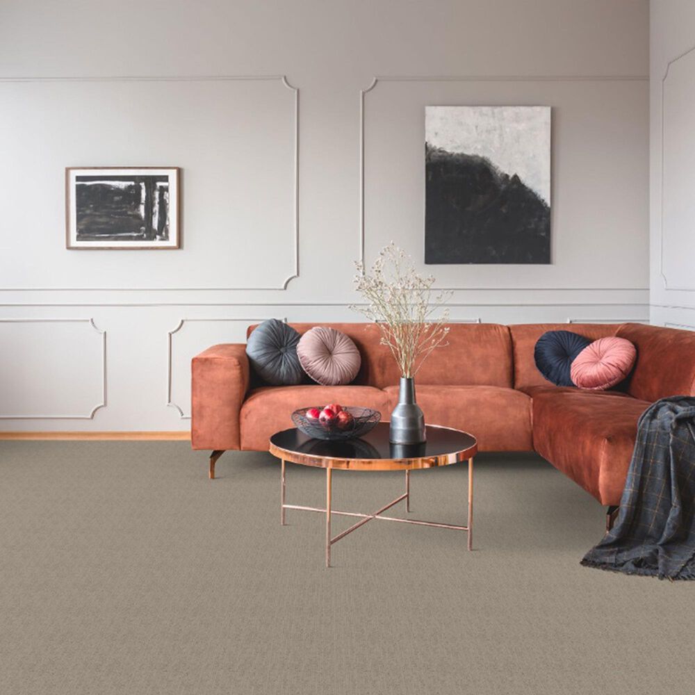 Dixie Home Worthington Carpet in Burnish, , large