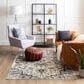 Karastan Cleo R1076 5" 3" X 8" Light Grey Area Rug, , large