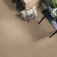 Anderson Tuftex Wanderer Carpet in Peanut Shell, , large