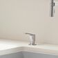 Blanco Rivana Soap Dispenser in PVD Steel, , large