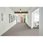 Phenix Naples Carpet in Grande Resort, , large