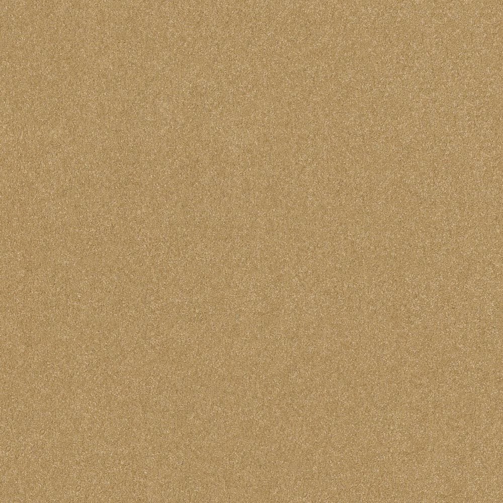 Shaw Hard At Play II Carpet in Honeycomb, , large