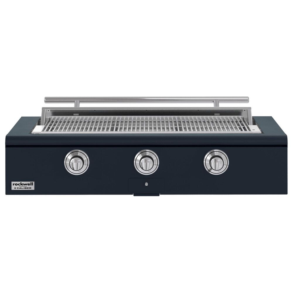 True Residential 48" Rockwell Liquid Propane Grill in Juniper, , large