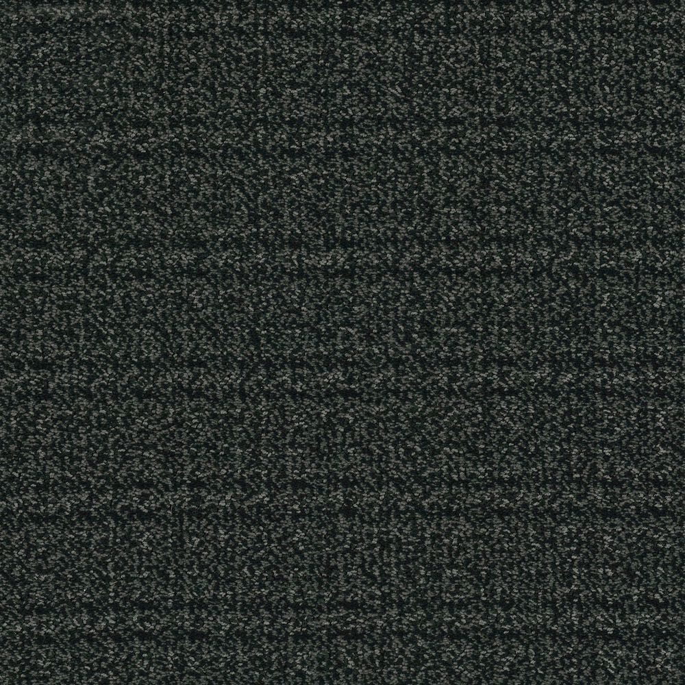 Masland Highbred Carpet in Dalmatians, , large