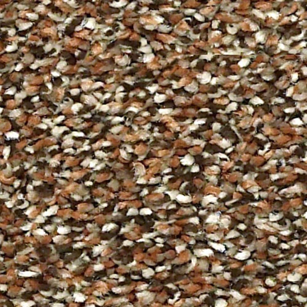 Shaw Points of Color I Carpet in Bronze, , large