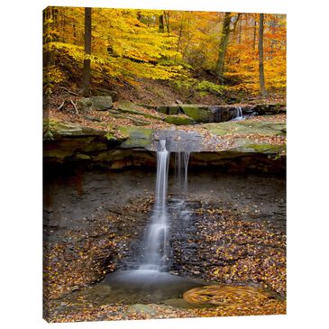 Lumaprints Blue Hen Falls 24" x 18" Wall Art in Multicolor, , large