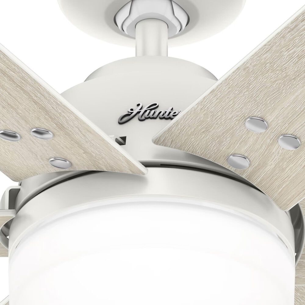 Hunter Pacer 44&quot; Ceiling Fan with LED Lights in Fresh White, , large