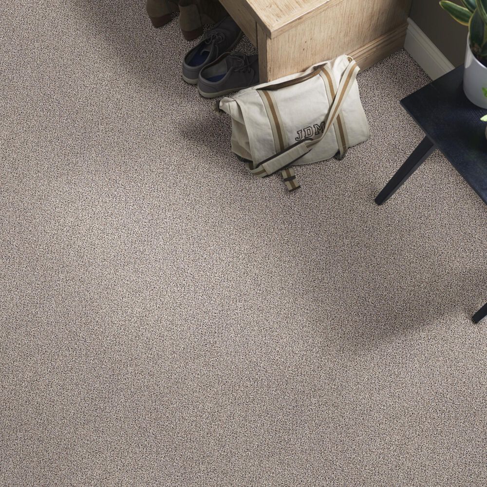 Shaw Foundations Take The Floor Accent II Carpet in Cold Springs, , large