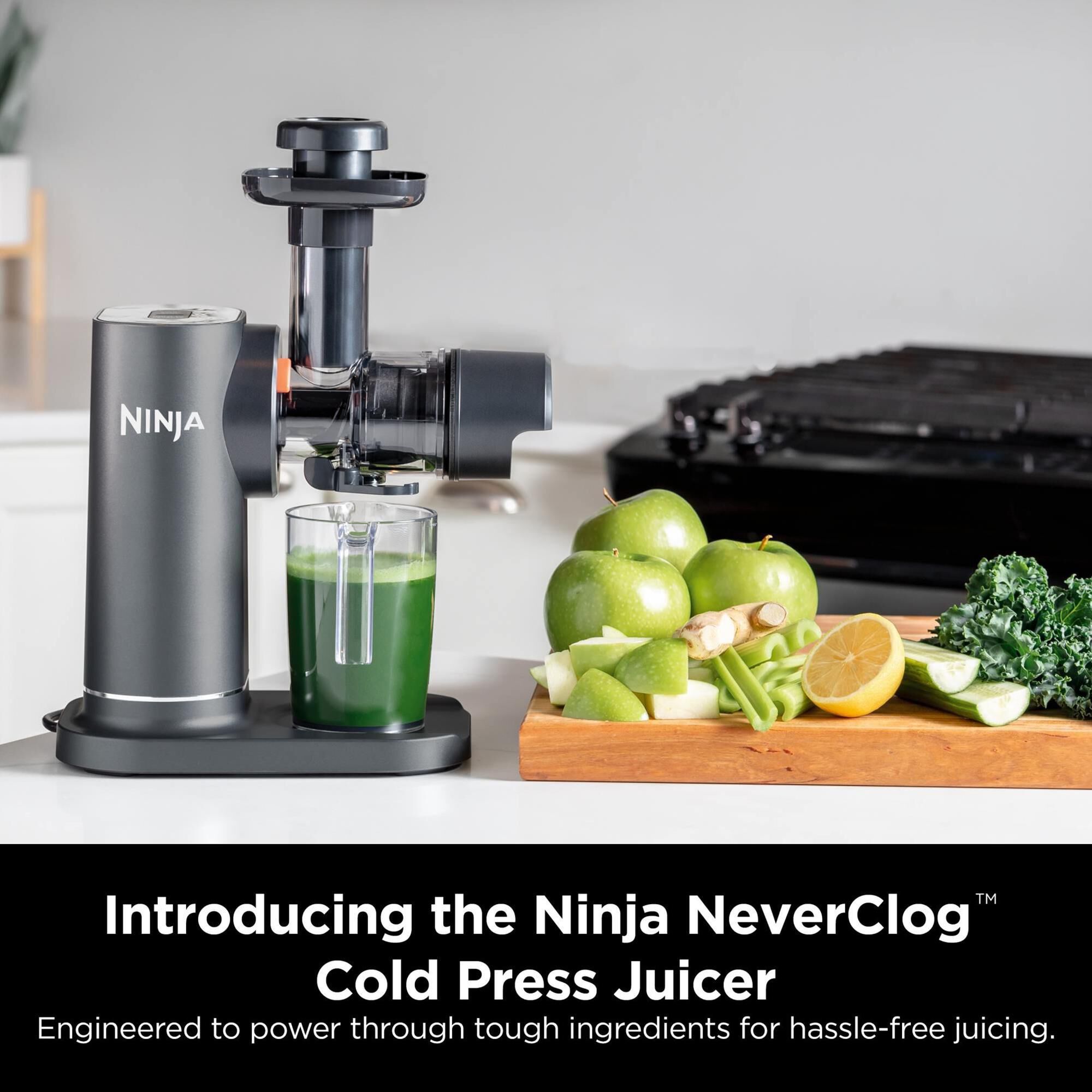 Ninja 2 Speed Cold Press Juicer in Gray